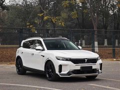 Voyah FREE 2024 Extended Range Intelligent Driving Edition - ფოტო 3