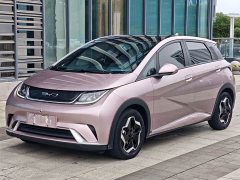 BYD Dolphin 405km Fashion Edition - ფოტო 1