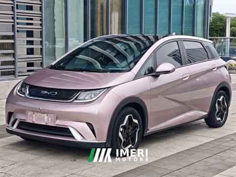 2022 BYD Dolphin 405km Fashion Edition