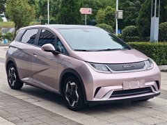 BYD Dolphin 405km Fashion Edition - ფოტო 3