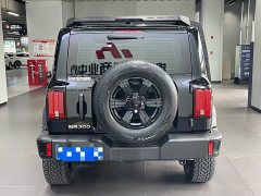 Tank 300 2.0T Gasoline Conqueror - ფოტო 4