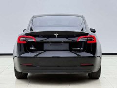 Tesla Model 3 Standard Range RWD Upgrade - ფოტო 12