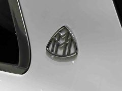 Mercedes-Benz Maybach GLS 480 4MATIC - ფოტო 12