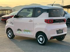 Wuling Hongguang MINIEV Macaron Premium Edition LFP - ფოტო 5