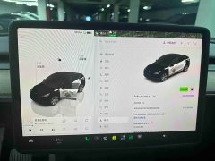 Tesla Model Y 2022 Facelift Rear-Wheel Drive - ფოტო 6