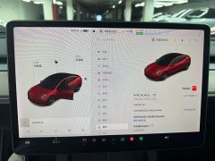Tesla Model 3 Performance All-Wheel Drive - ფოტო 8