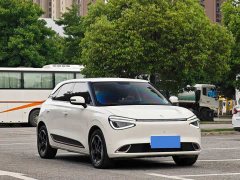 Dongfeng Nano 01 430 Plus Smart - ფოტო 3