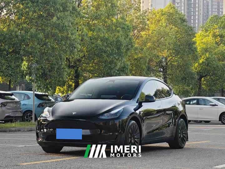 Tesla Model Y Rear-Wheel Drive - ავტომობილი ჩინეთიდან