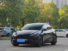 Tesla Model Y Rear-Wheel Drive - ფოტო 1