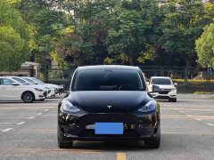 Tesla Model Y Rear-Wheel Drive - ფოტო 2