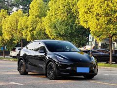 Tesla Model Y Rear-Wheel Drive - ფოტო 3
