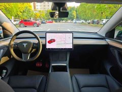 Tesla Model Y Rear-Wheel Drive - ფოტო 5