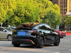 Tesla Model Y Rear-Wheel Drive - ფოტო 7