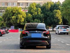 Tesla Model Y Rear-Wheel Drive - ფოტო 8