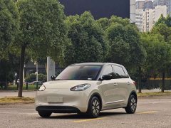 Wuling Binguo 333km Lingxi Connected Edition - ფოტო 1