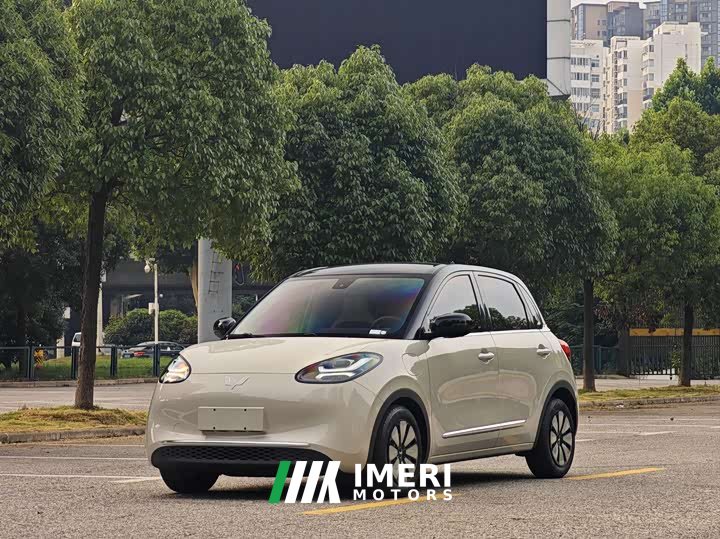 Wuling Binguo 333km Lingxi Connected Edition