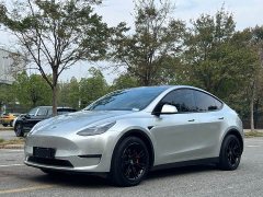 Tesla Model Y Standard Range RWD - ფოტო 1