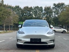 Tesla Model Y Standard Range RWD - ფოტო 2
