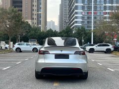 Tesla Model Y Standard Range RWD - ფოტო 5