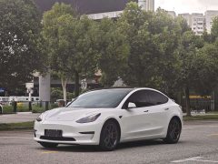Tesla Model 3 Rear-Wheel Drive - ფოტო 1