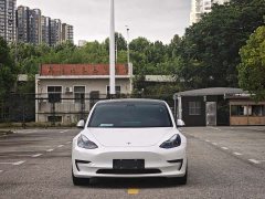 Tesla Model 3 Rear-Wheel Drive - ფოტო 2