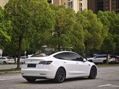 Tesla Model 3 Rear-Wheel Drive - ფოტო 7