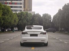 Tesla Model 3 Rear-Wheel Drive - ფოტო 8