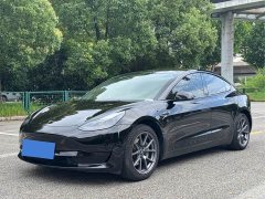 Tesla Model 3 Rear-Wheel Drive - ფოტო 1