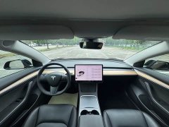 Tesla Model 3 Rear-Wheel Drive - ფოტო 12