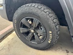 Tank 300 Off-Road Edition 2.0T Conqueror - ფოტო 14