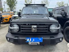 Tank 300 Off-Road Edition 2.0T Conqueror - ფოტო 2