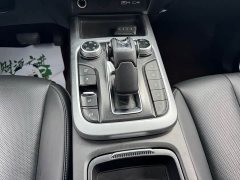 Tank 300 Off-Road Edition 2.0T Conqueror - ფოტო 6