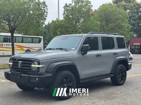 2022 Tank 300 2021 Off-Road Edition 2.0T Conqueror - ავტომობილი ჩინეთიდან