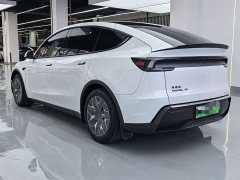 Tesla Model Y L 2025 Long Range All-Wheel Drive - ფოტო 11