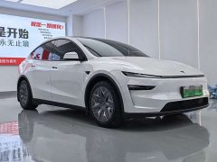 Tesla Model Y L 2025 Long Range All-Wheel Drive - ფოტო 3