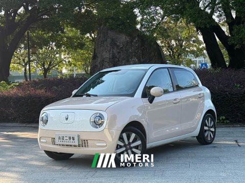2022 ORA Black Cat 301km Cute Pet Edition LFP Battery - ავტომობილი ჩინეთიდან