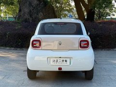 ORA Black Cat 301km Cute Pet Edition LFP Battery - ფოტო 13