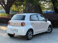 ORA Black Cat 301km Cute Pet Edition LFP Battery - ფოტო 14