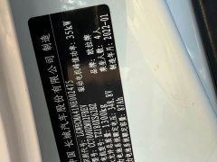 ORA Black Cat 301km Cute Pet Edition LFP Battery - ფოტო 19