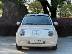 ORA Black Cat 301km Cute Pet Edition LFP Battery - ფოტო 2