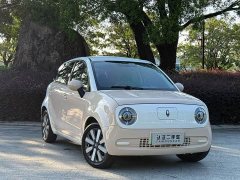 ORA Black Cat 301km Cute Pet Edition LFP Battery - ფოტო 3