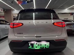 Geely Star Wish 310km Edition - ფოტო 14