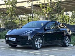 Tesla Model Y Rear-Wheel Drive - ფოტო 1