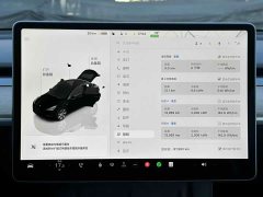 Tesla Model Y Rear-Wheel Drive - ფოტო 17