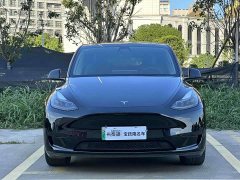 Tesla Model Y Rear-Wheel Drive - ფოტო 2