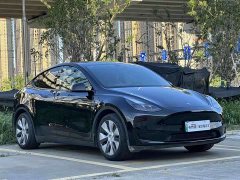 Tesla Model Y Rear-Wheel Drive - ფოტო 3