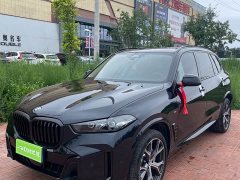 BMW X5 xDrive 30Li M Sport Luxury Night Edition Package - ფოტო 3