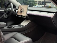 Tesla Model Y Rear-Wheel Drive - ფოტო 10