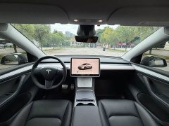 Tesla Model Y Rear-Wheel Drive - ფოტო 12