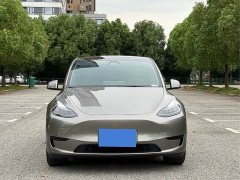 Tesla Model Y Rear-Wheel Drive - ფოტო 2